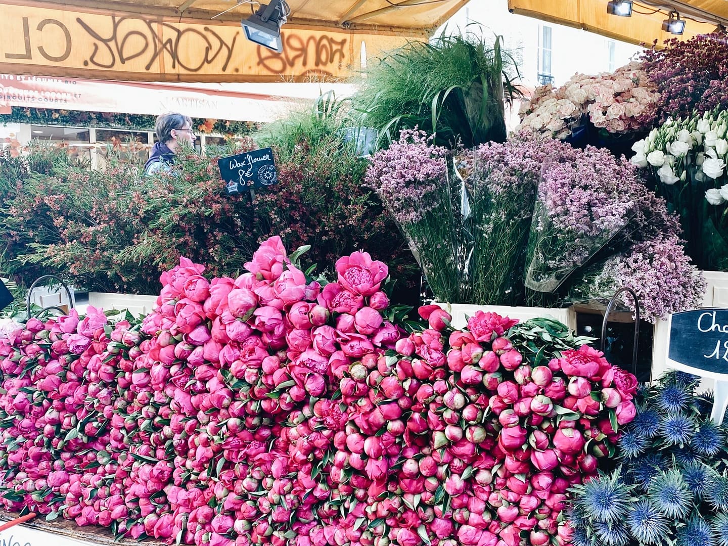 Guide To Paris In The Summer Time