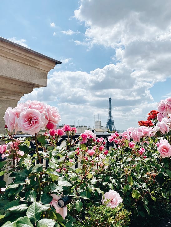 Eiffel tower views from L'Oiseau Blanc 