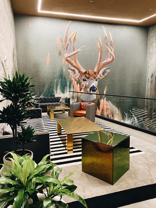 seating area of star provisions building