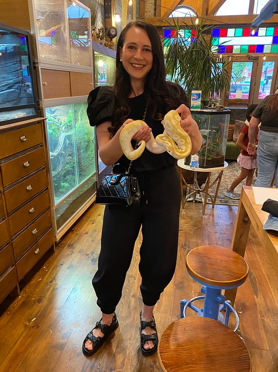 All Black Outfit With a Chic Python Accent