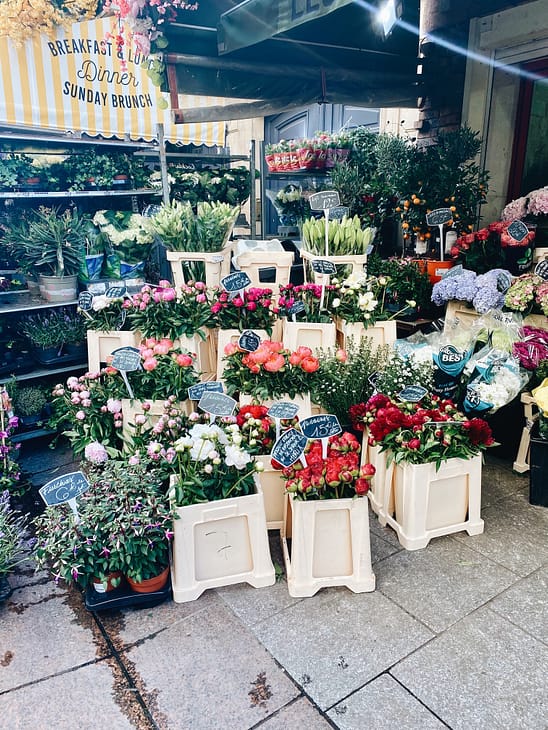 market peony flowers