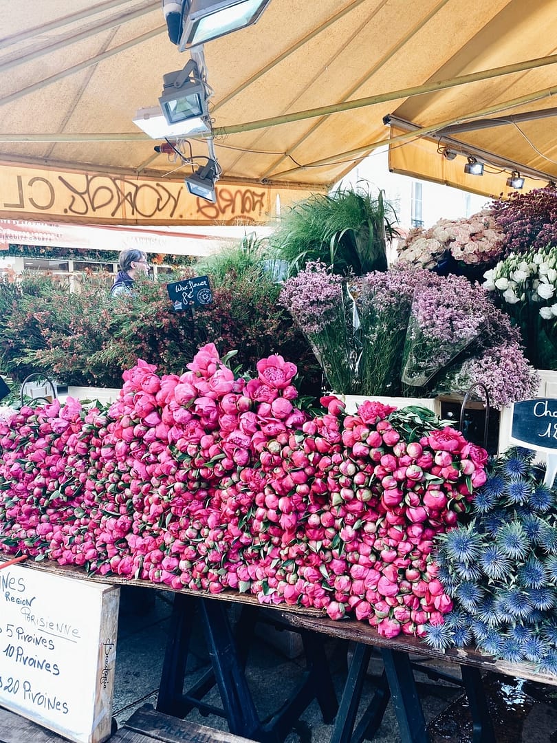 French peony market