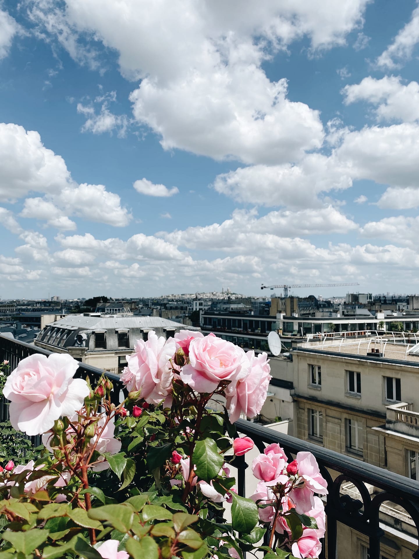 views at L'oiseau Blanc in Paris