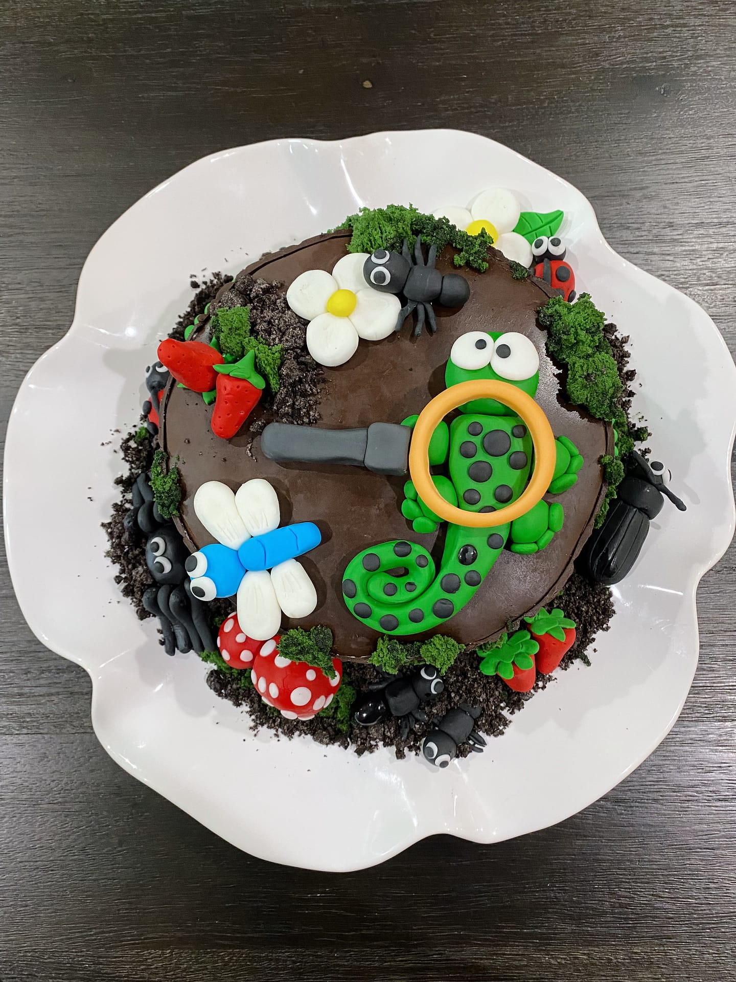 decorated cake with critters for critter party
